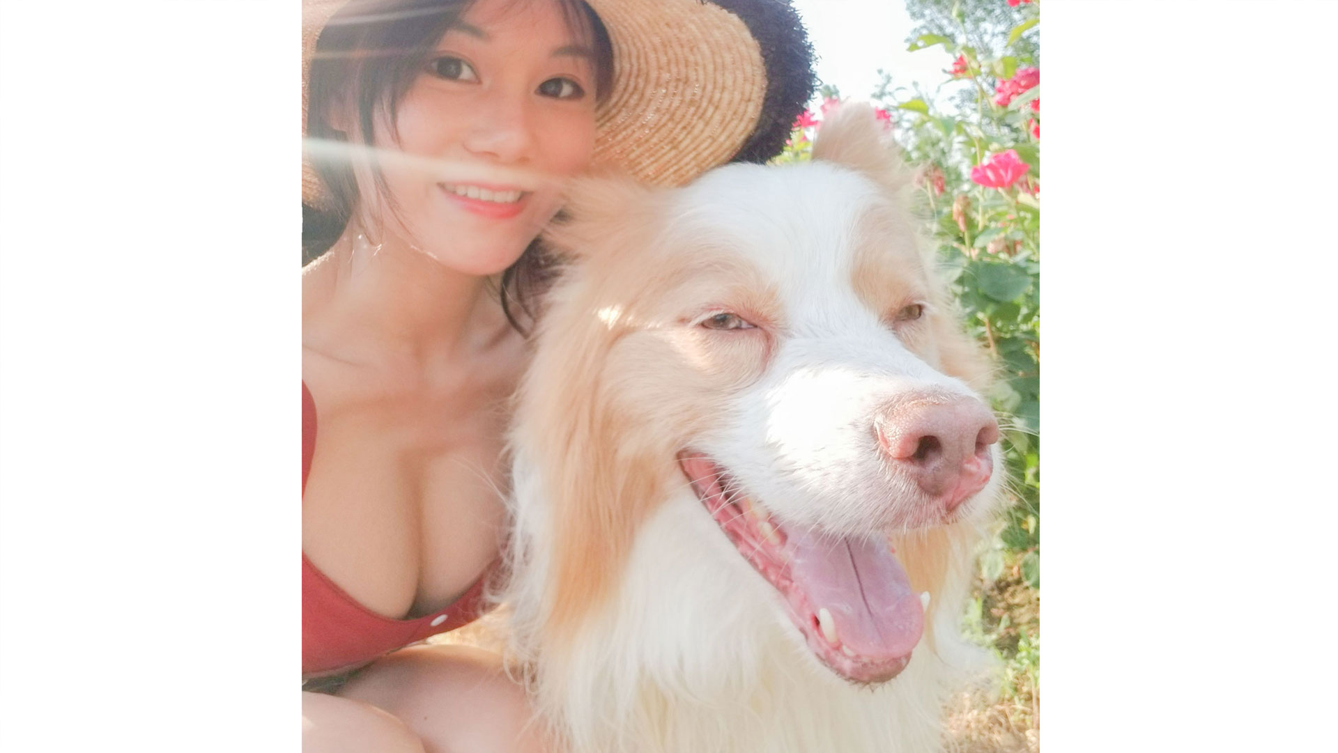 Sexy hot girl takes stray dog to celebrate Children’s Day